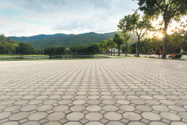 Reasons to Select Us for Your Driveway Paving Requirements in Hallandale Beach, FL